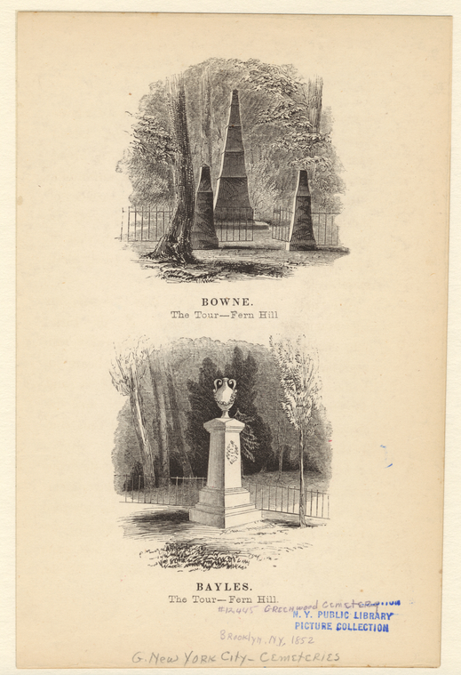 Image ID 800824
