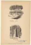 Image ID 800827