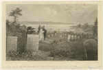 Image ID 800839