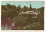 Image ID 800844