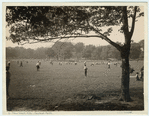 Image ID 800850