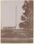 Image ID 800852