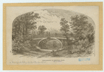 Image ID 800858