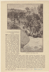 Image ID 800861