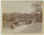 Image ID 800876