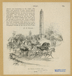 Image ID 800878