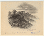 Image ID 800879