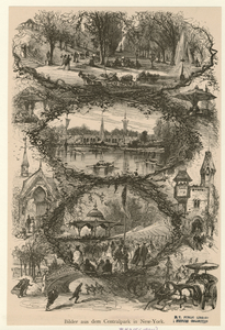 Image ID 800886