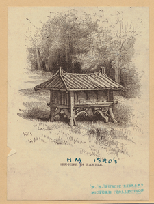 Image ID 800901