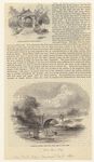 Image ID 800925
