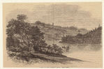 Image ID 800928