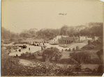 Image ID 800935