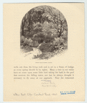Image ID 800945