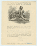 Image ID 800946