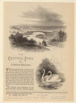 Image ID 800949