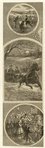 Image ID 800952