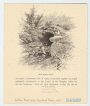 Image ID 800954