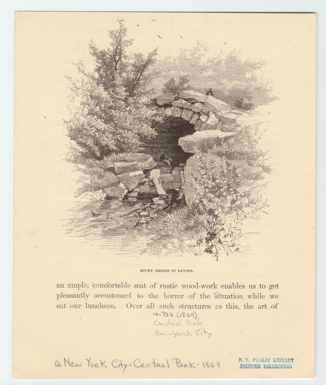 Image ID 800954
