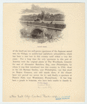 Image ID 800955