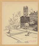 Image ID 800964