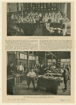 Image ID 800981