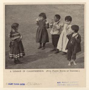 Image ID 800982
