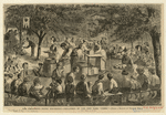 Image ID 800984