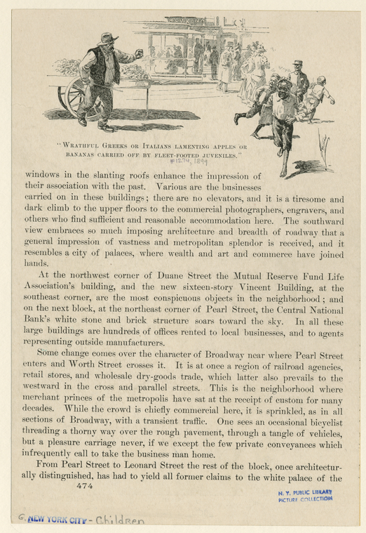 Image ID 800988
