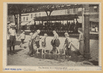 Image ID 800991