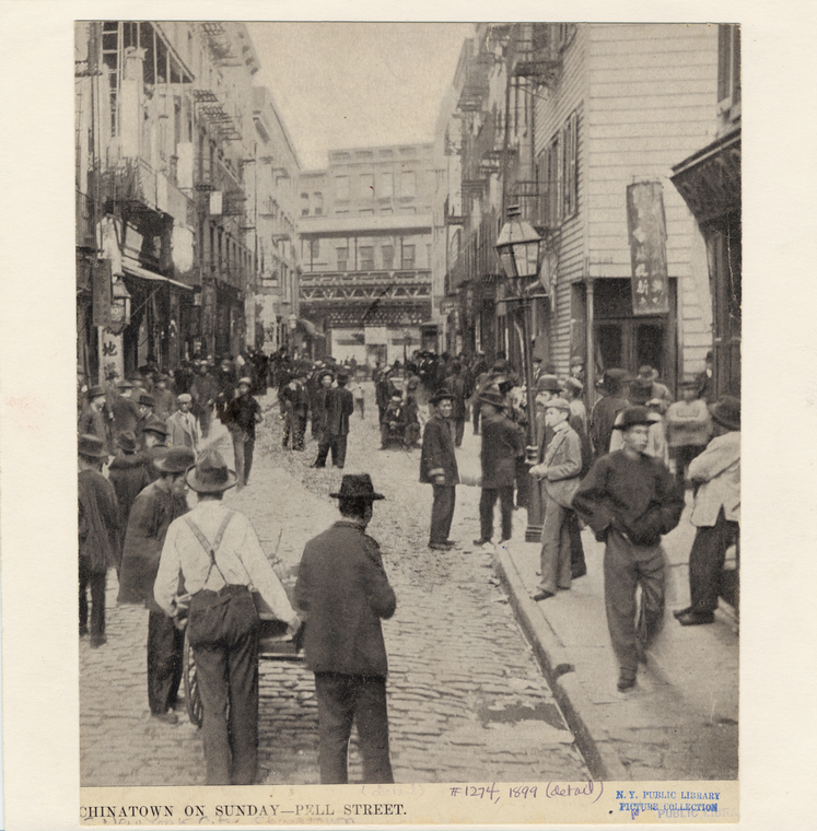 Image ID 800995
