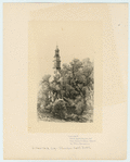 Image ID 801064