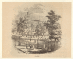 Image ID 801131