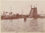 Image ID 801290