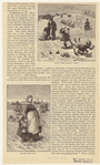 Image ID 801314