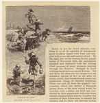 Image ID 801317