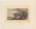 Image ID 801428