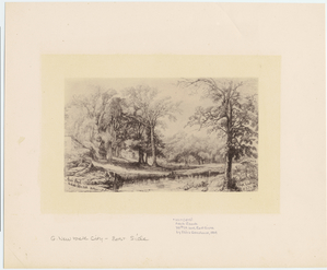 Image ID 801446