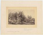 Image ID 801450