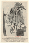 Image ID 801555
