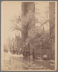 Image ID 801650