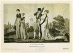 Image ID 801944