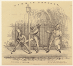 Image ID 801947