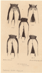 Image ID 802172