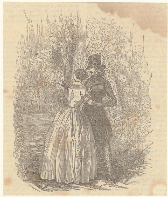 Image ID 802254
