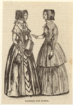 Image ID 802302