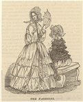 Image ID 802321