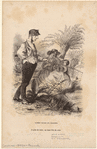 Image ID 802383