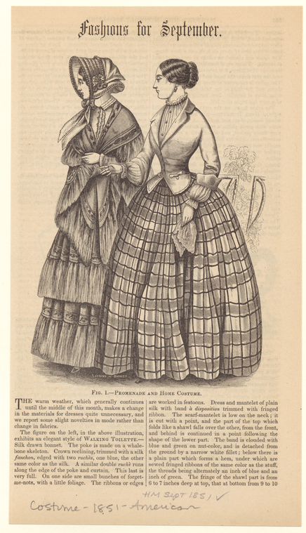 Image ID 802387
