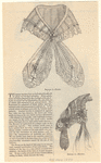 Image ID 802590