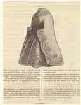 Image ID 802629